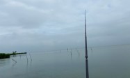 太湖解锁红尾