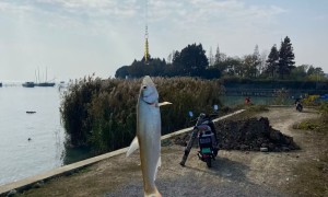 普通亮片替换钨钢亮片选择